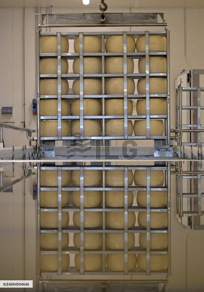 Parmigiano Reggiano from Parma - Italy