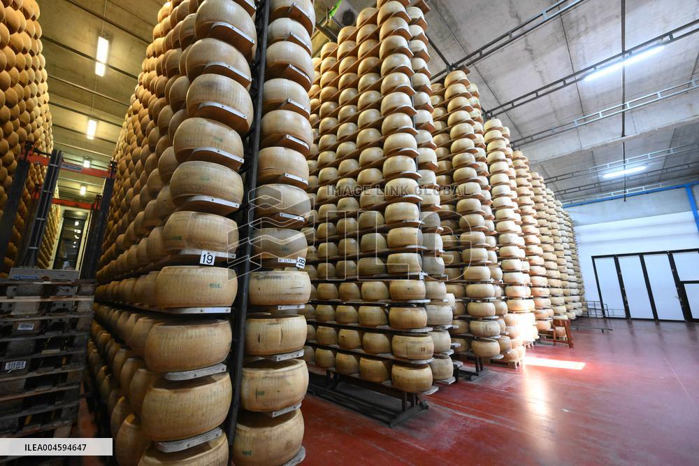 Parmigiano Reggiano from Parma - Italy