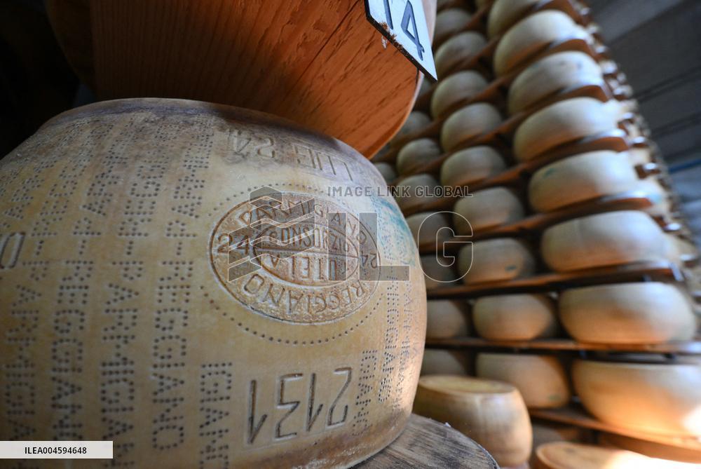 Parmigiano Reggiano from Parma - Italy