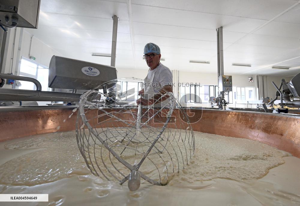 Parmigiano Reggiano from Parma - Italy