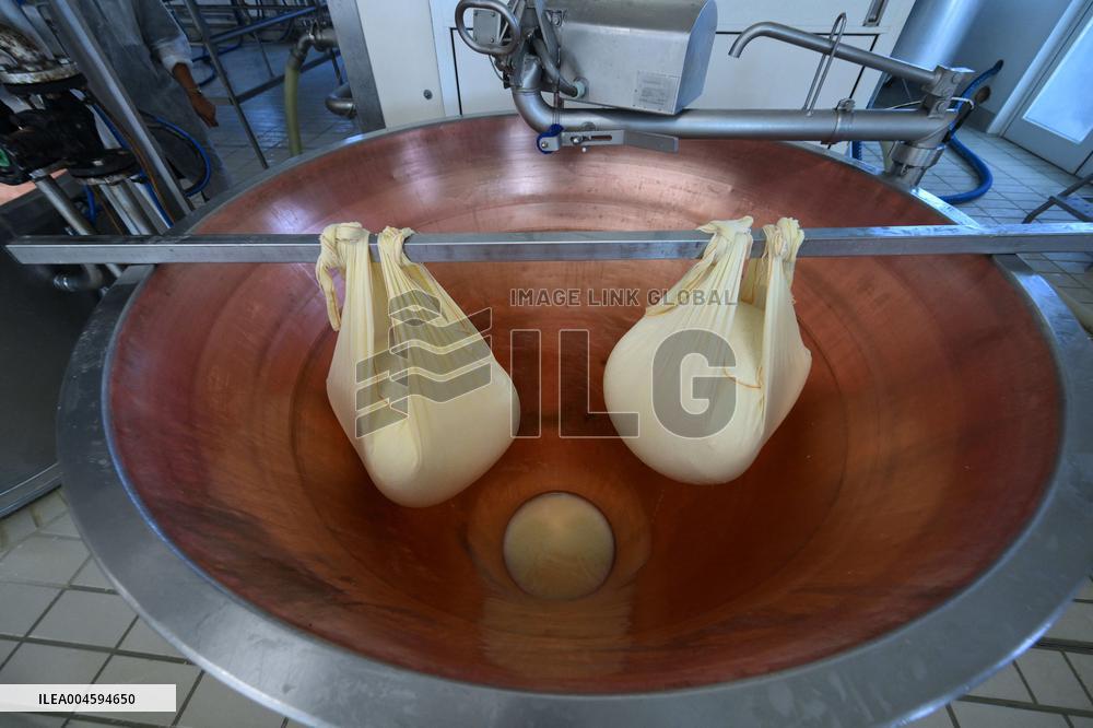 Parmigiano Reggiano from Parma - Italy