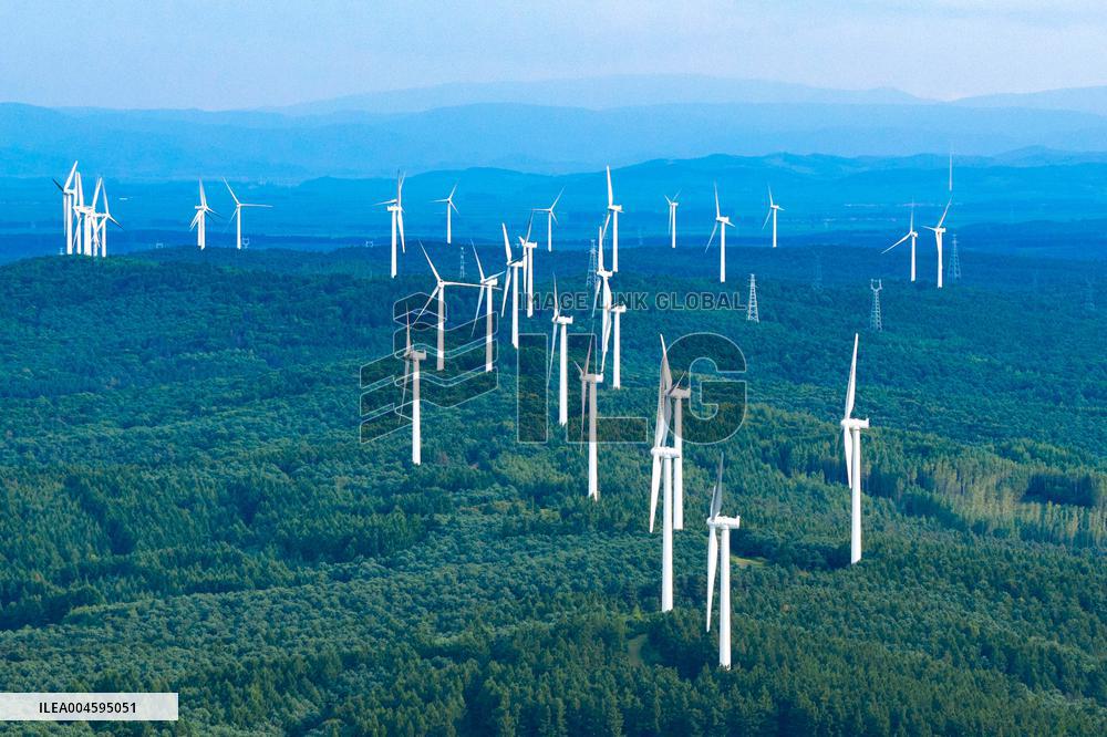 Wind Power Base in Harbin