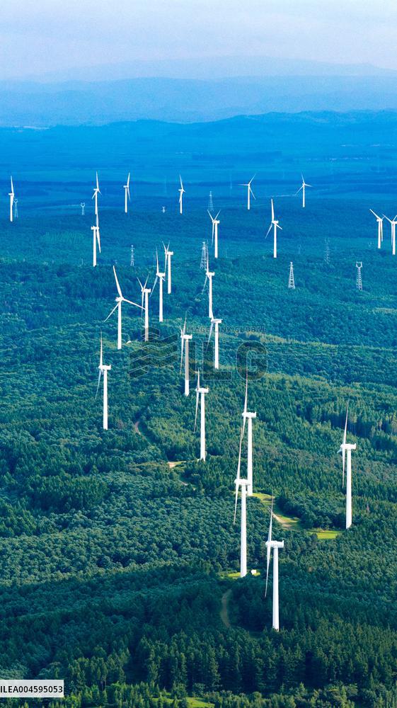 Wind Power Base in Harbin