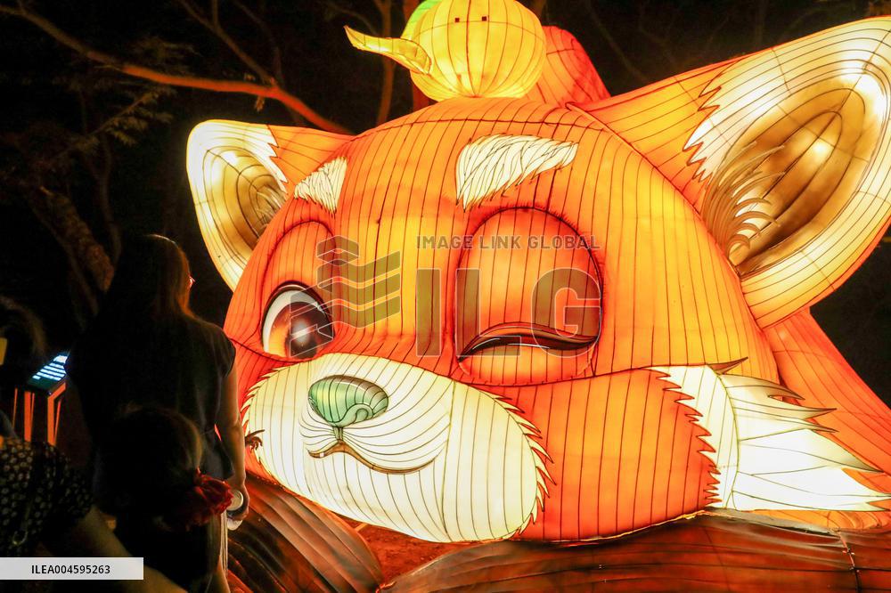 2025 Art Lantern Festival