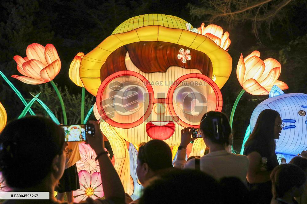 2025 Art Lantern Festival