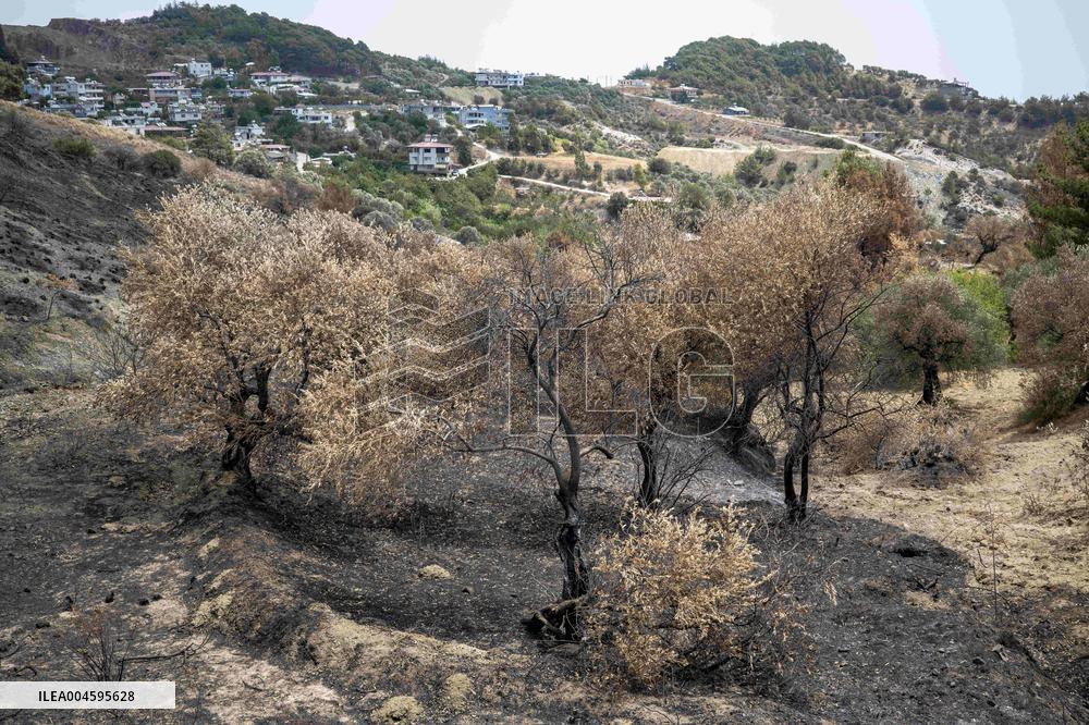 Fires and Land Disputes in Dikmece - Turkey