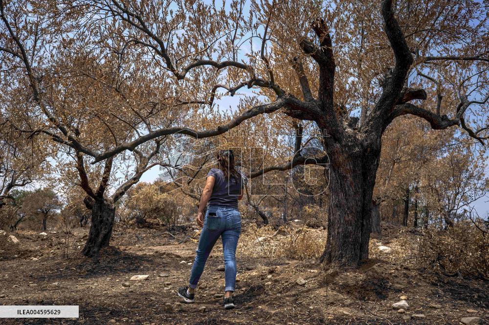 Fires and Land Disputes in Dikmece - Turkey