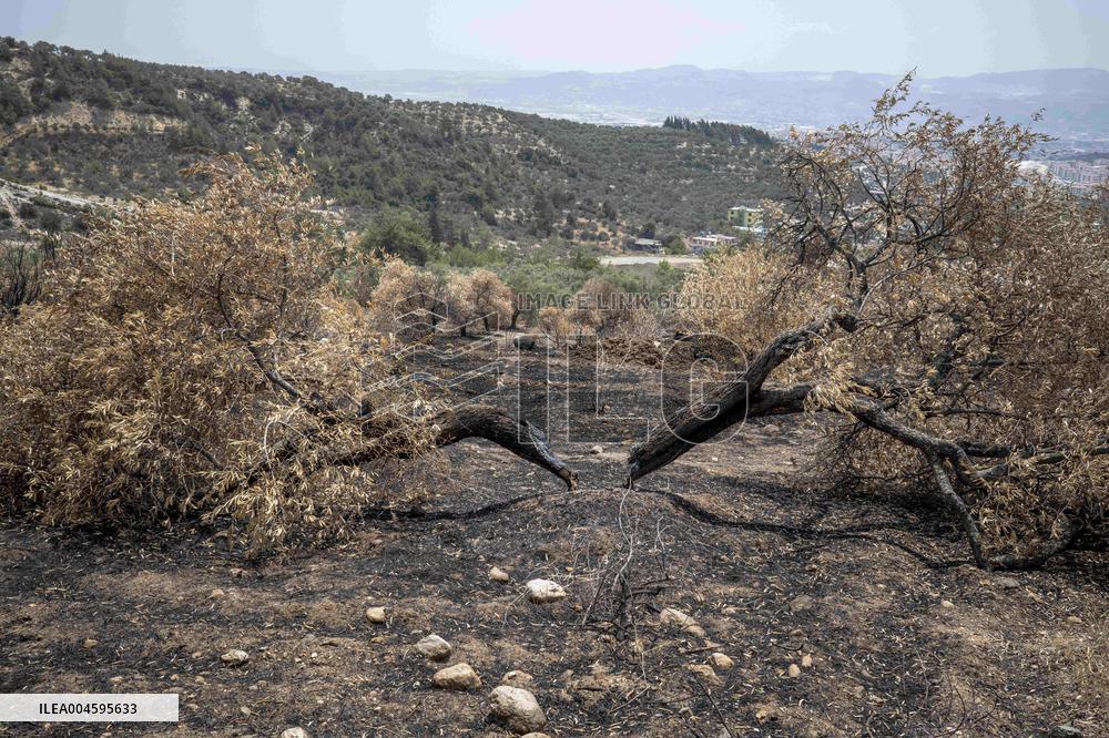 Fires and Land Disputes in Dikmece - Turkey