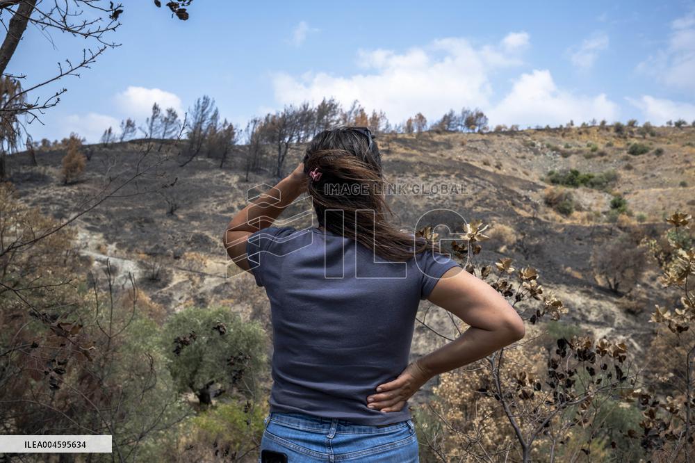 Fires and Land Disputes in Dikmece - Turkey