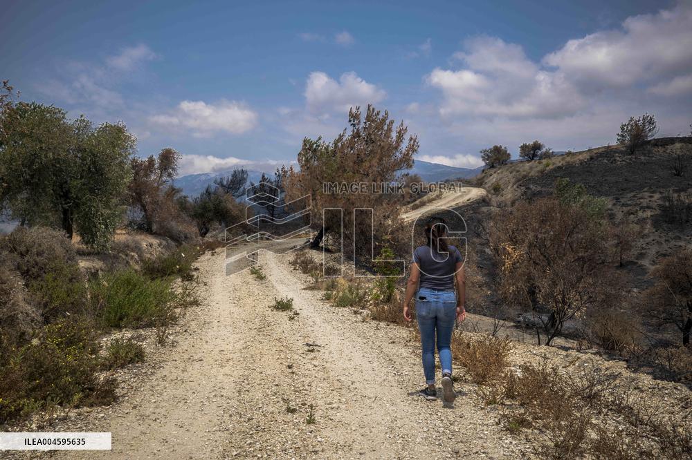 Fires and Land Disputes in Dikmece - Turkey