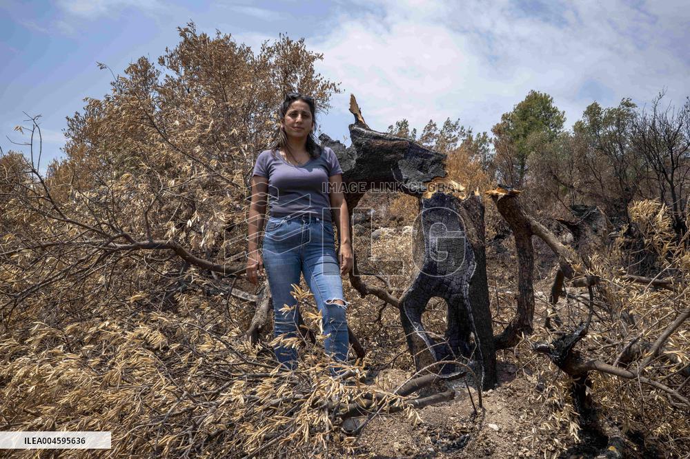 Fires and Land Disputes in Dikmece - Turkey