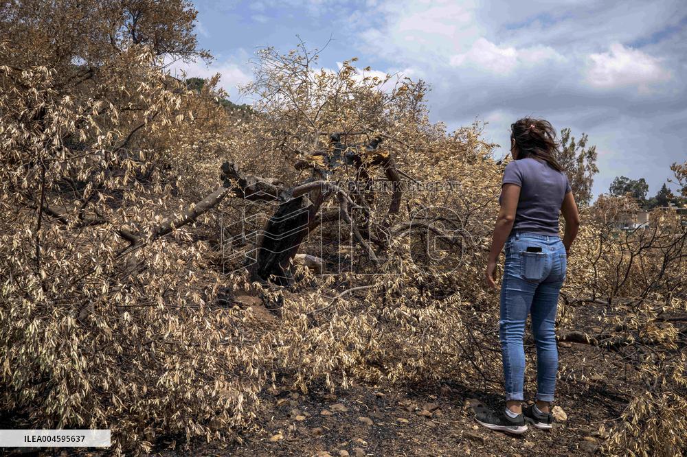 Fires and Land Disputes in Dikmece - Turkey