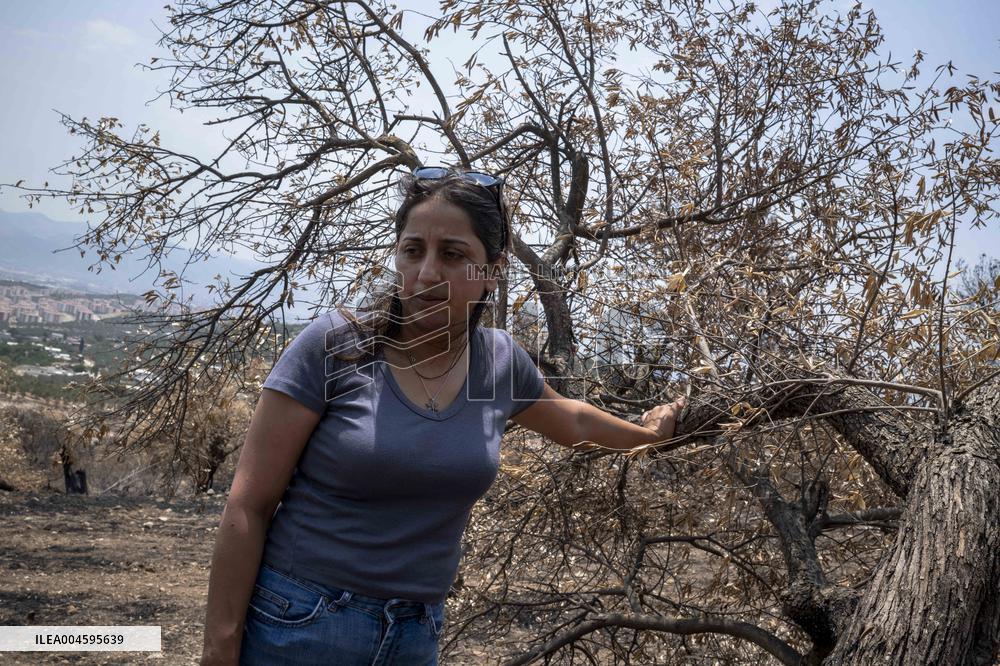 Fires and Land Disputes in Dikmece - Turkey
