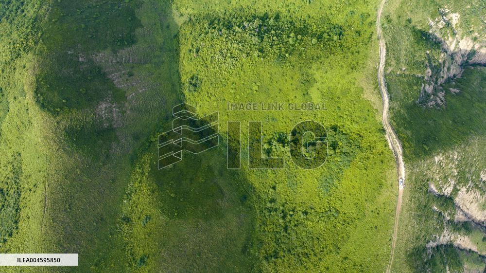 Liupan Mountains Ecological Barrier - China