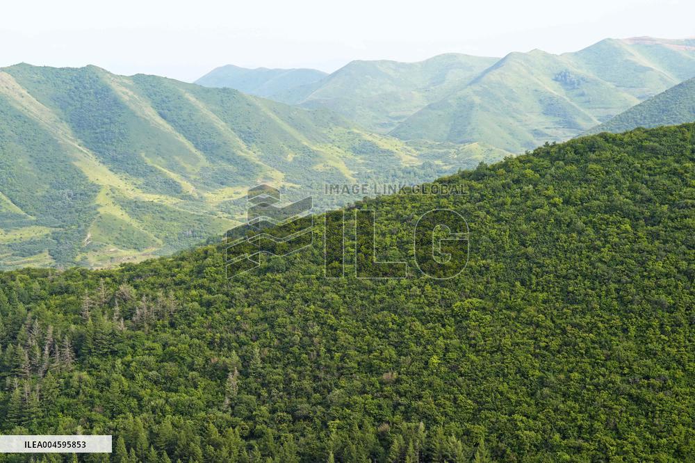 Liupan Mountains Ecological Barrier - China