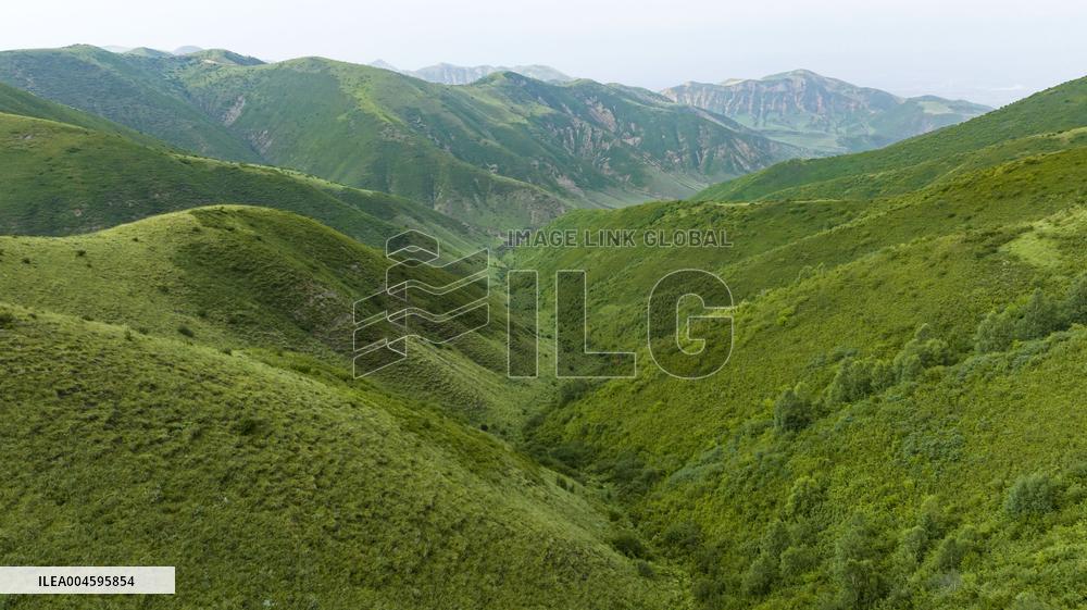 Liupan Mountains Ecological Barrier - China