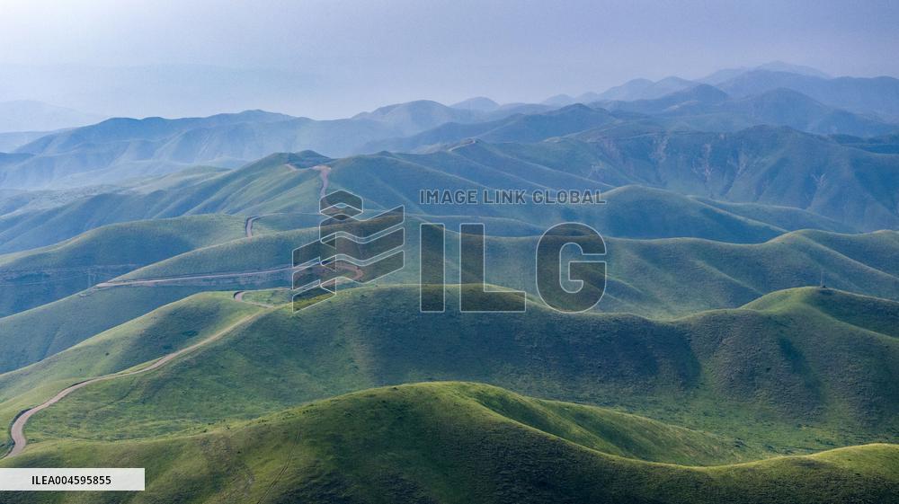 Liupan Mountains Ecological Barrier - China