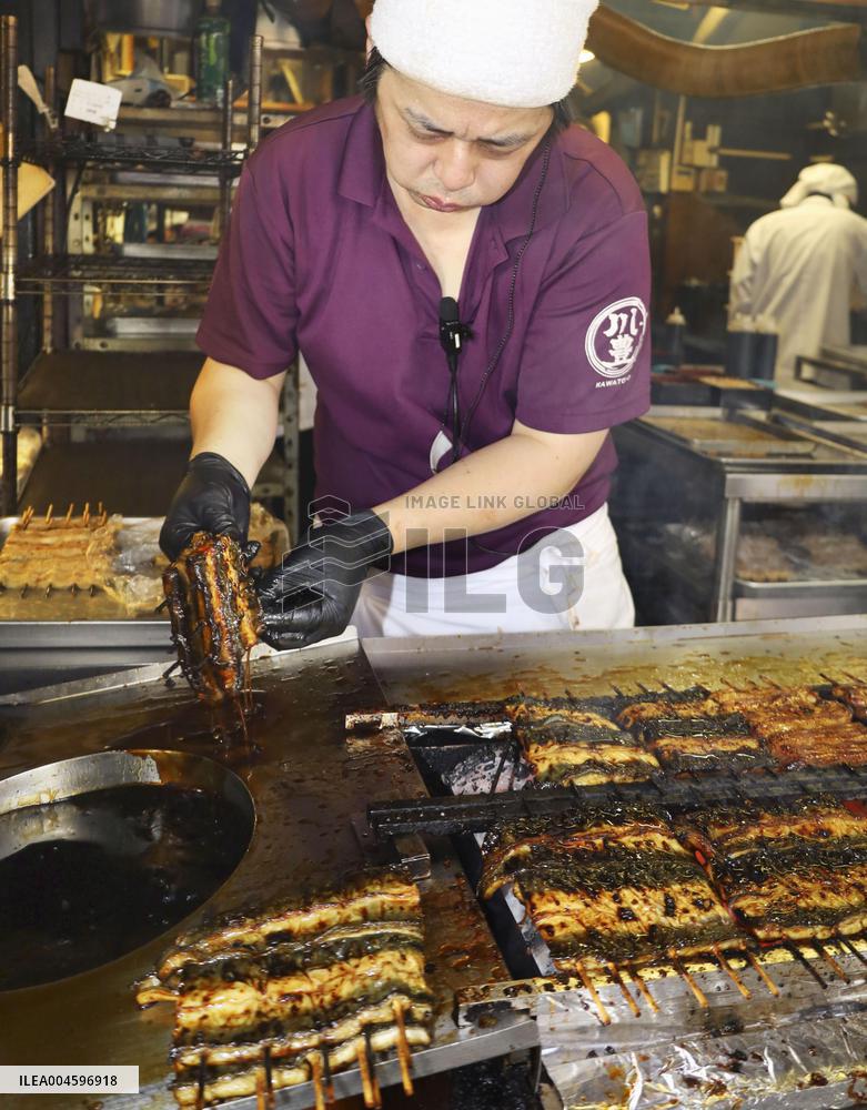 Eel-eating day in Japan