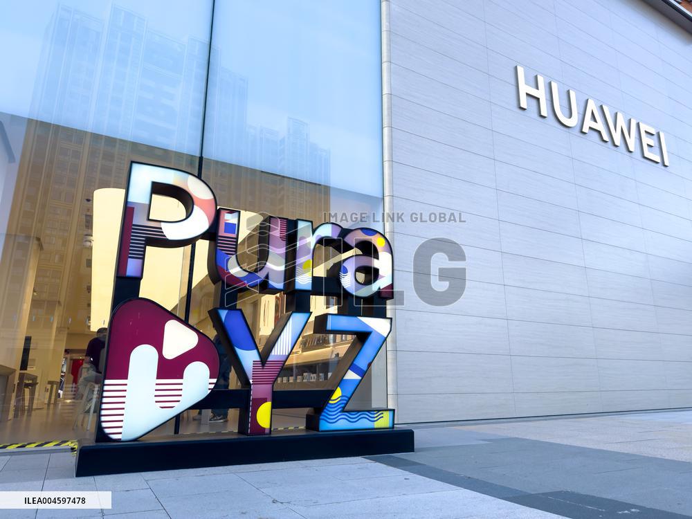 Pura DYZ Art Installation