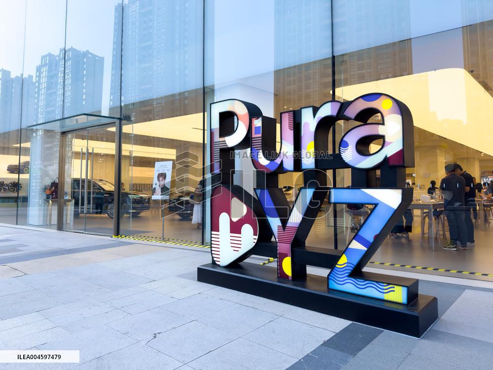 Pura DYZ Art Installation