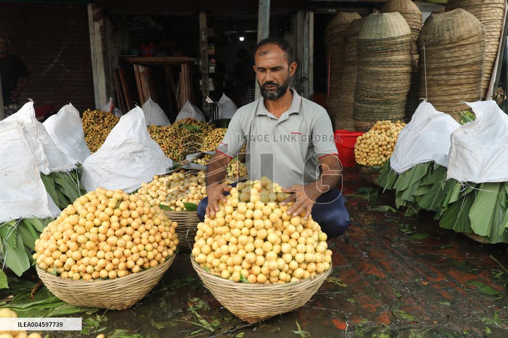 Burmese Grapes in Narsingdi Orchard - Bangladesh