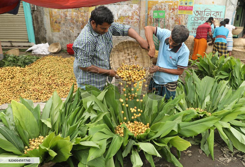 Burmese Grapes in Narsingdi Orchard - Bangladesh