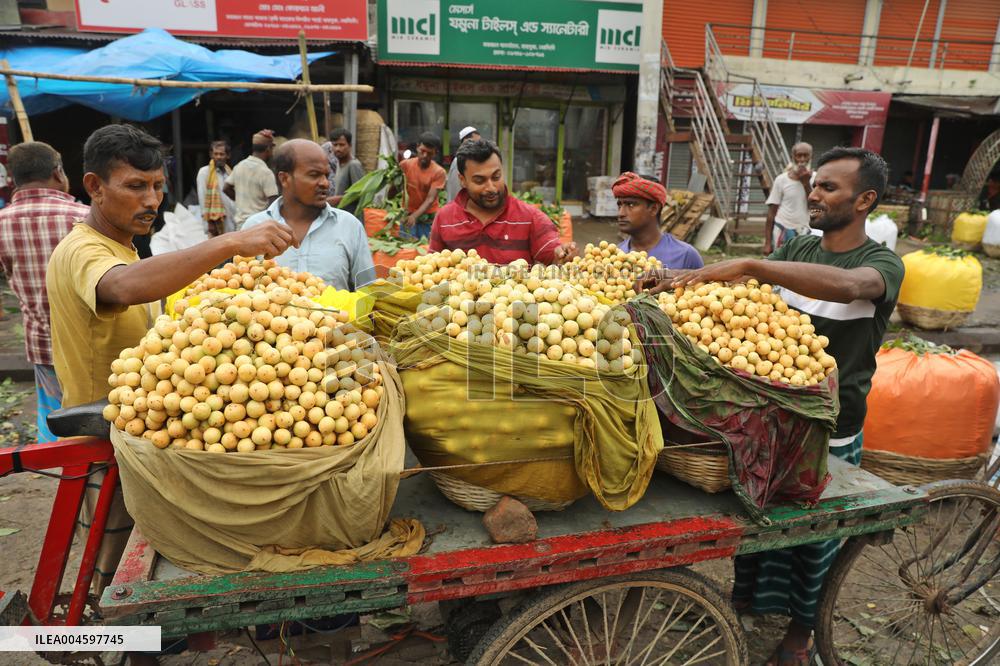 Burmese Grapes in Narsingdi Orchard - Bangladesh