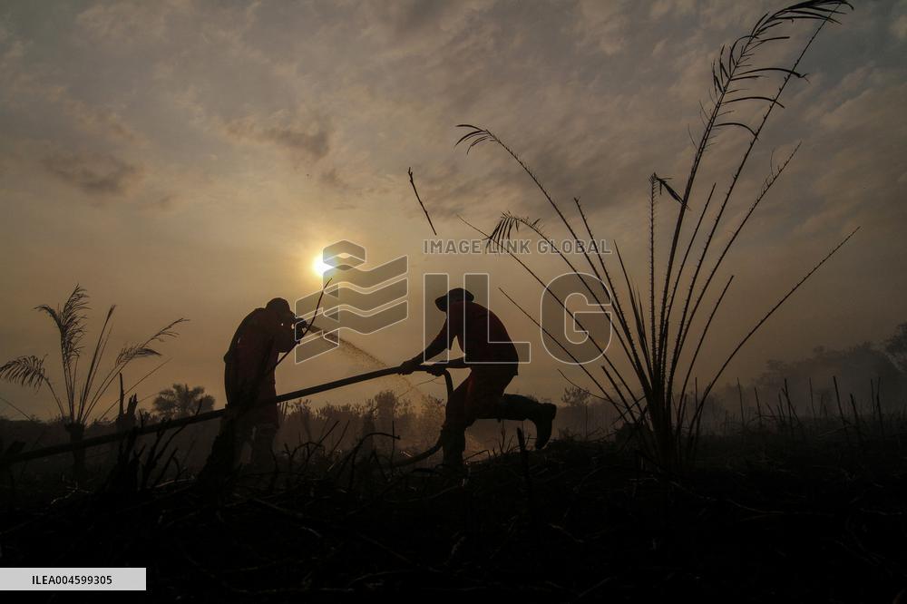 Peatland Fire - Indonesia