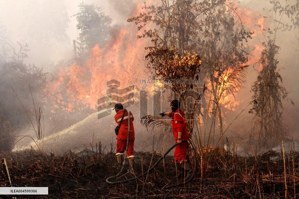 Peatland Fire - Indonesia