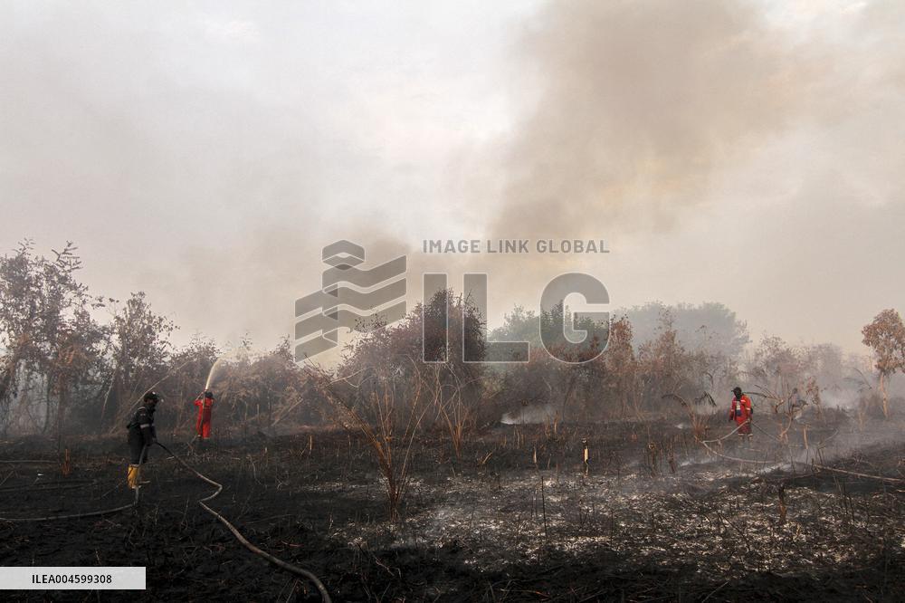 Peatland Fire - Indonesia