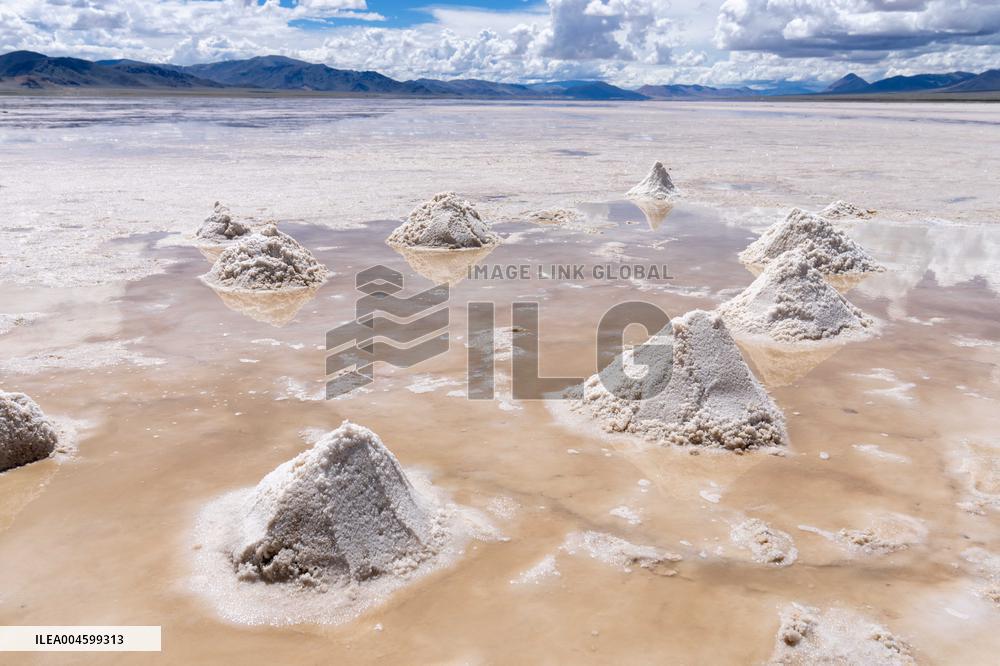 Salt Harvesting And Processing - China