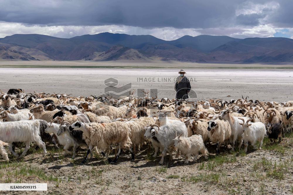 Salt Harvesting And Processing - China