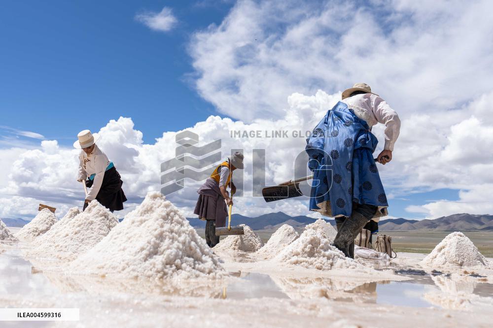 Salt Harvesting And Processing - China