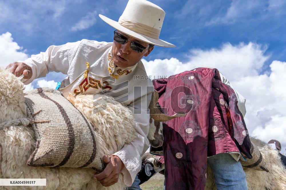 Salt Harvesting And Processing - China