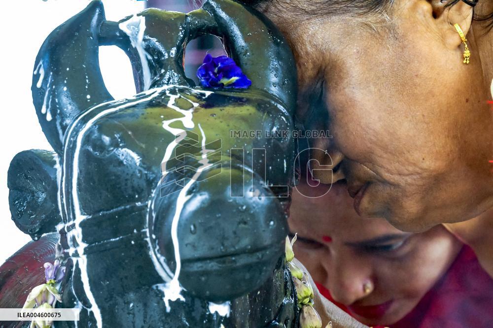 Worship of Lord Shiva - India