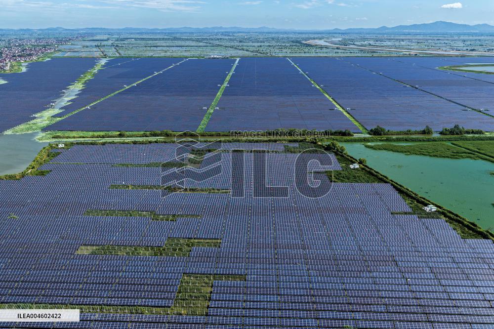Largest Single-unit Affordable 260MW FISHER-Solar Hybrid Project PV Power Station in East China