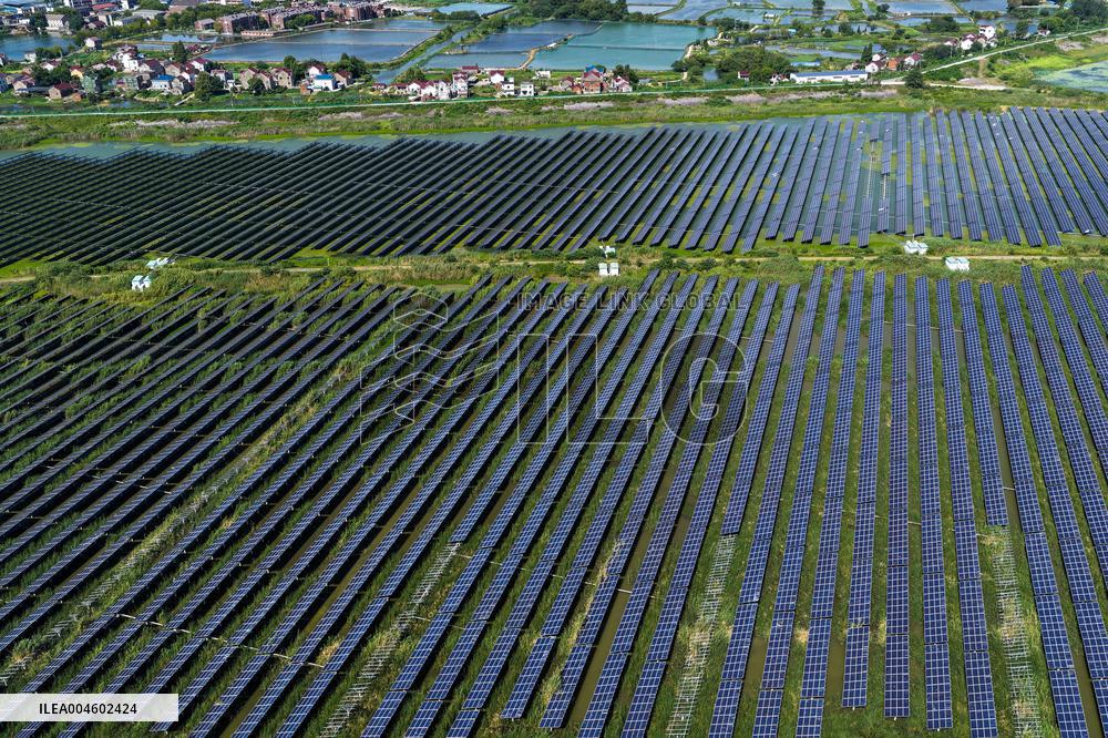 Largest Single-unit Affordable 260MW FISHER-Solar Hybrid Project PV Power Station in East China