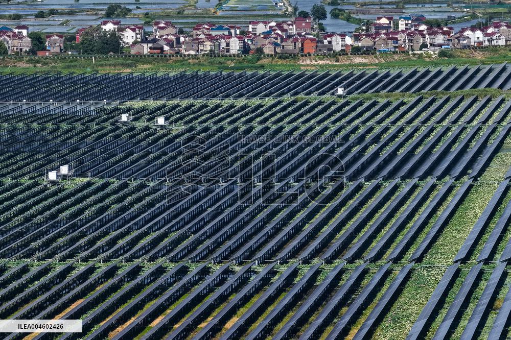 Largest Single-unit Affordable 260MW FISHER-Solar Hybrid Project PV Power Station in East China