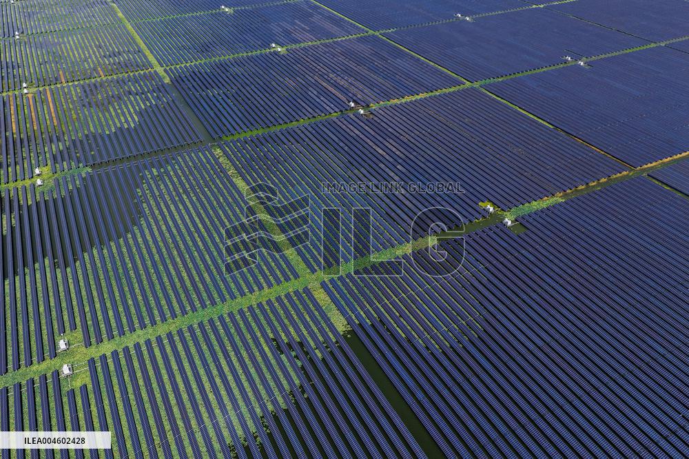 Largest Single-unit Affordable 260MW FISHER-Solar Hybrid Project PV Power Station in East China