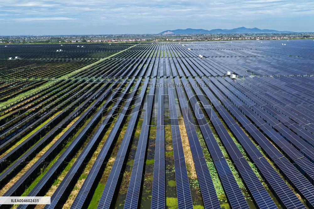 Largest Single-unit Affordable 260MW FISHER-Solar Hybrid Project PV Power Station in East China