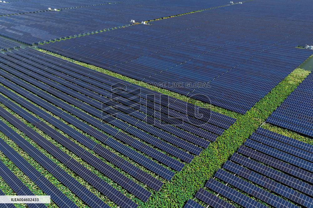 Largest Single-unit Affordable 260MW FISHER-Solar Hybrid Project PV Power Station in East China