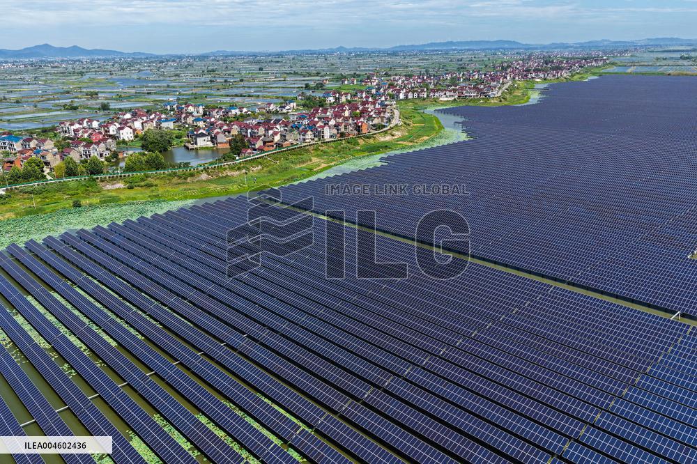 Largest Single-unit Affordable 260MW FISHER-Solar Hybrid Project PV Power Station in East China