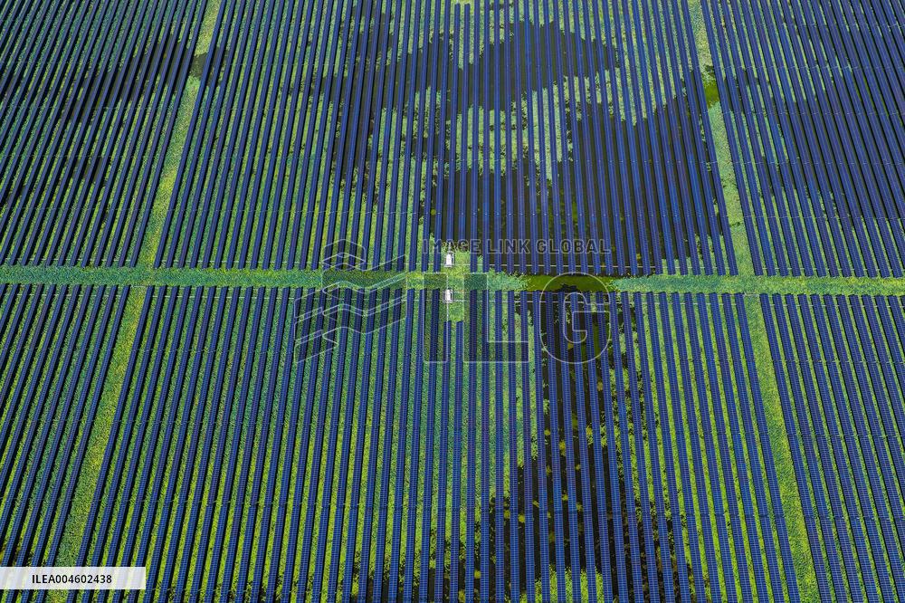 Largest Single-unit Affordable 260MW FISHER-Solar Hybrid Project PV Power Station in East China