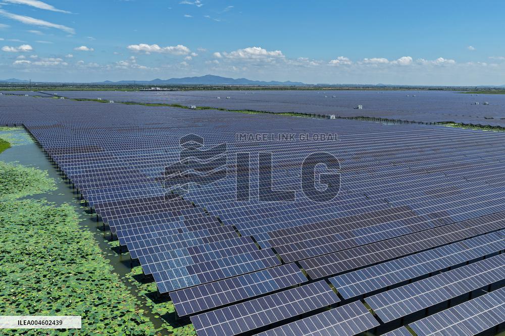 Largest Single-unit Affordable 260MW FISHER-Solar Hybrid Project PV Power Station in East China