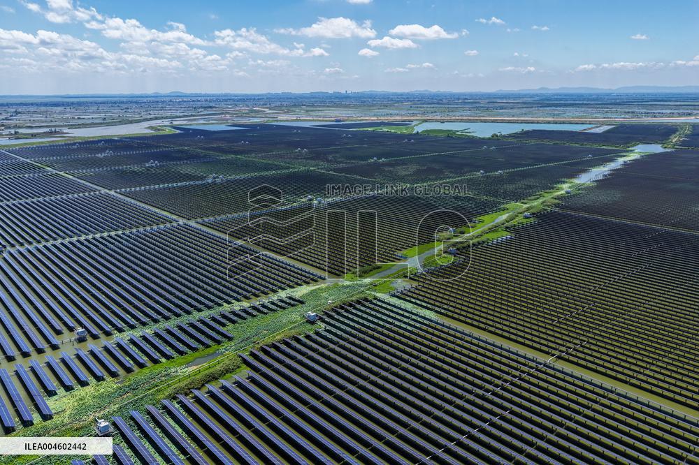 Largest Single-unit Affordable 260MW FISHER-Solar Hybrid Project PV Power Station in East China