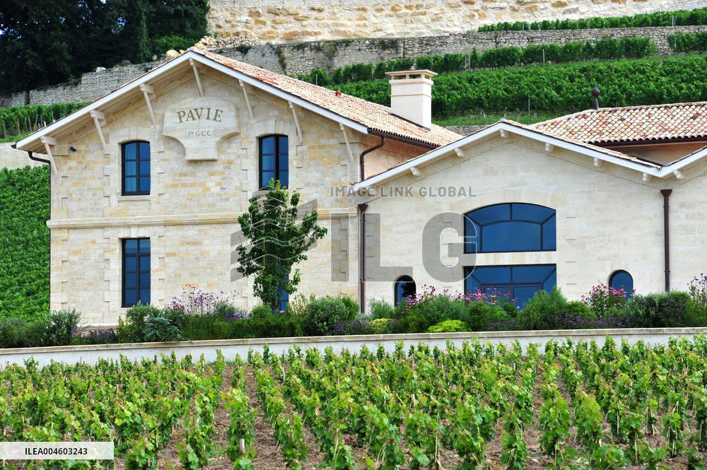 Illustration - Chateau Pavie