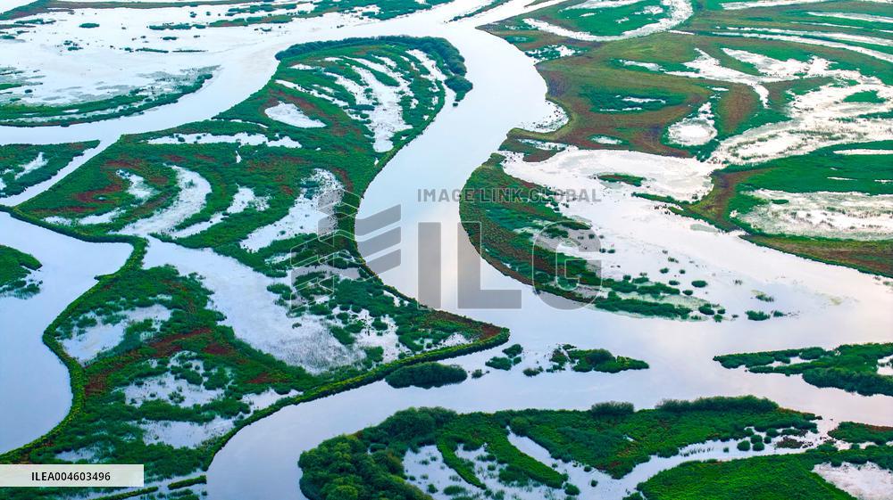 Naolihe River Wetland in Shuangyashan