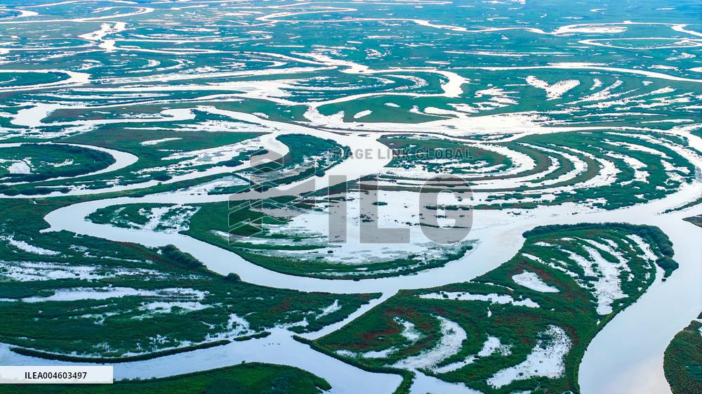 Naolihe River Wetland in Shuangyashan
