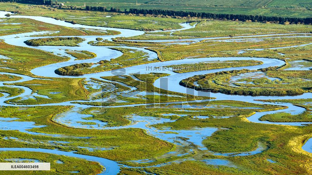 Naolihe River Wetland in Shuangyashan