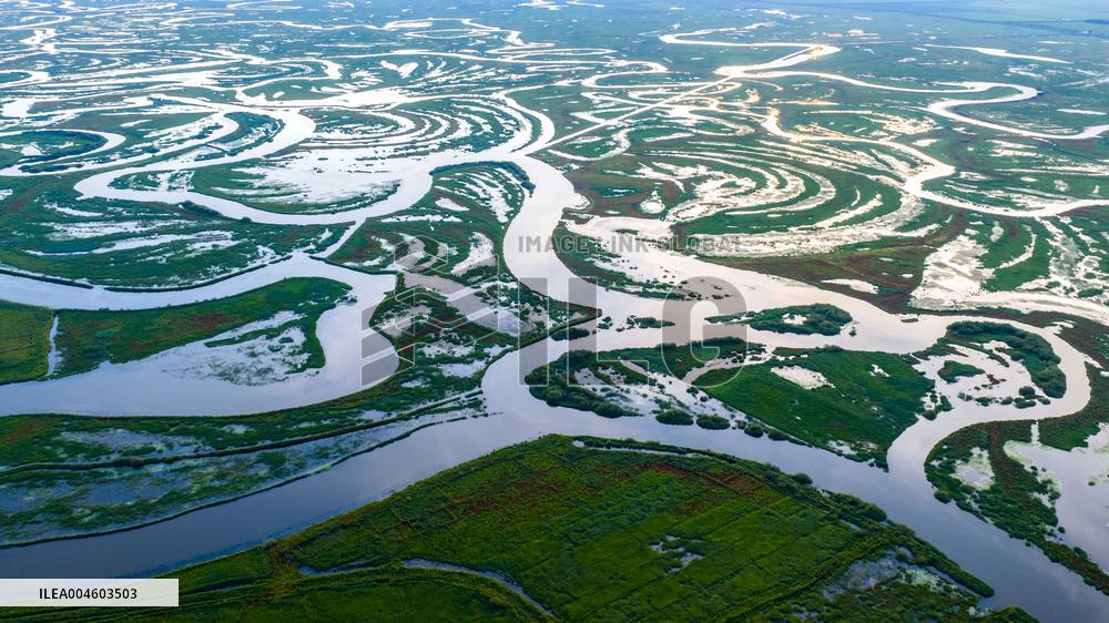 Naolihe River Wetland in Shuangyashan